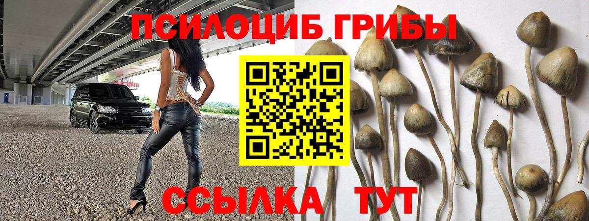 Галлюциногенные грибы прущие грибы  Вход с VPN  Каспийск 
